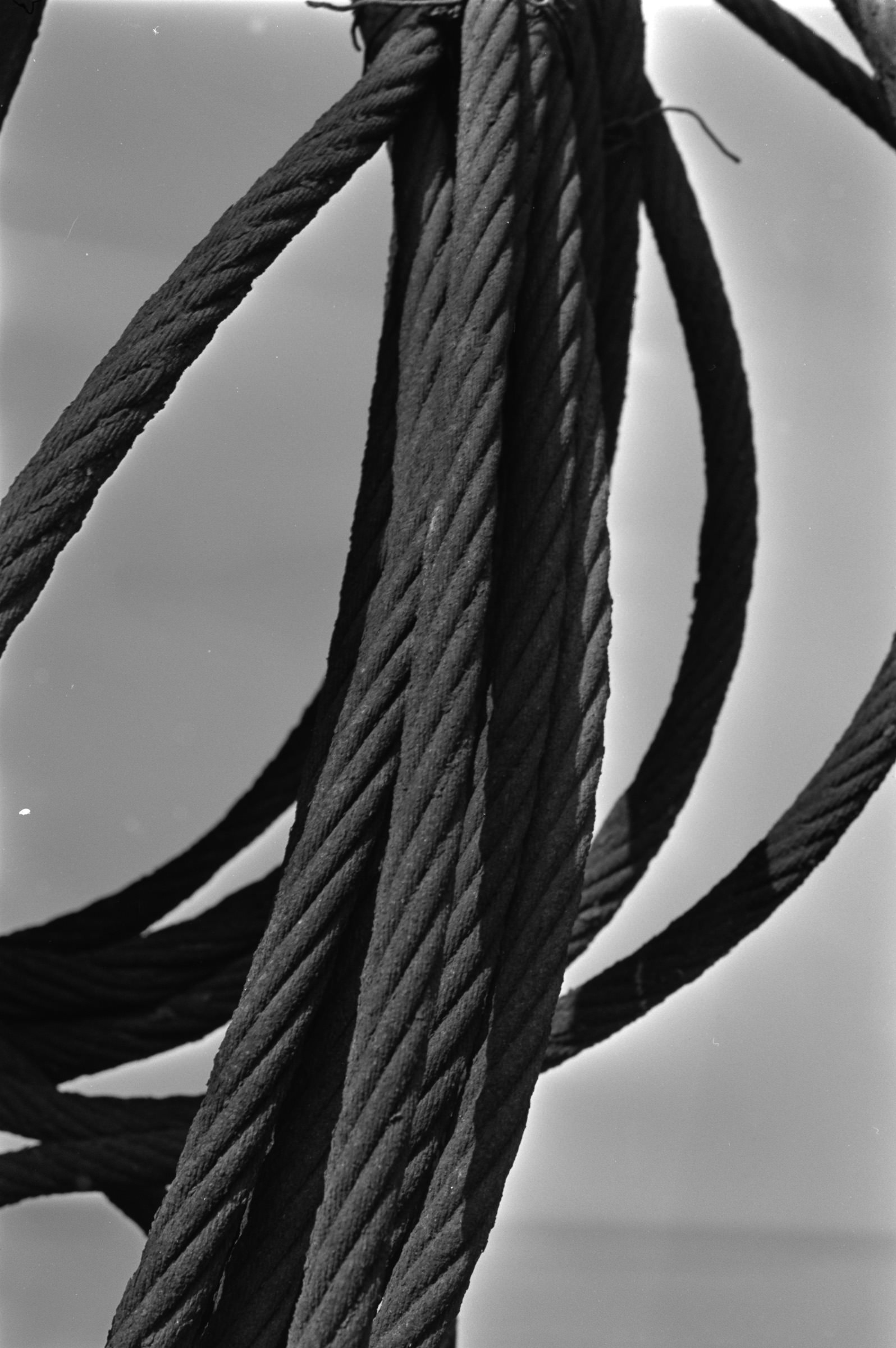 AHP F1991 09 002 sc240801 img31 NLP